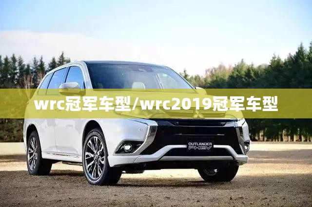 wrc冠军车型/wrc2019冠军车型