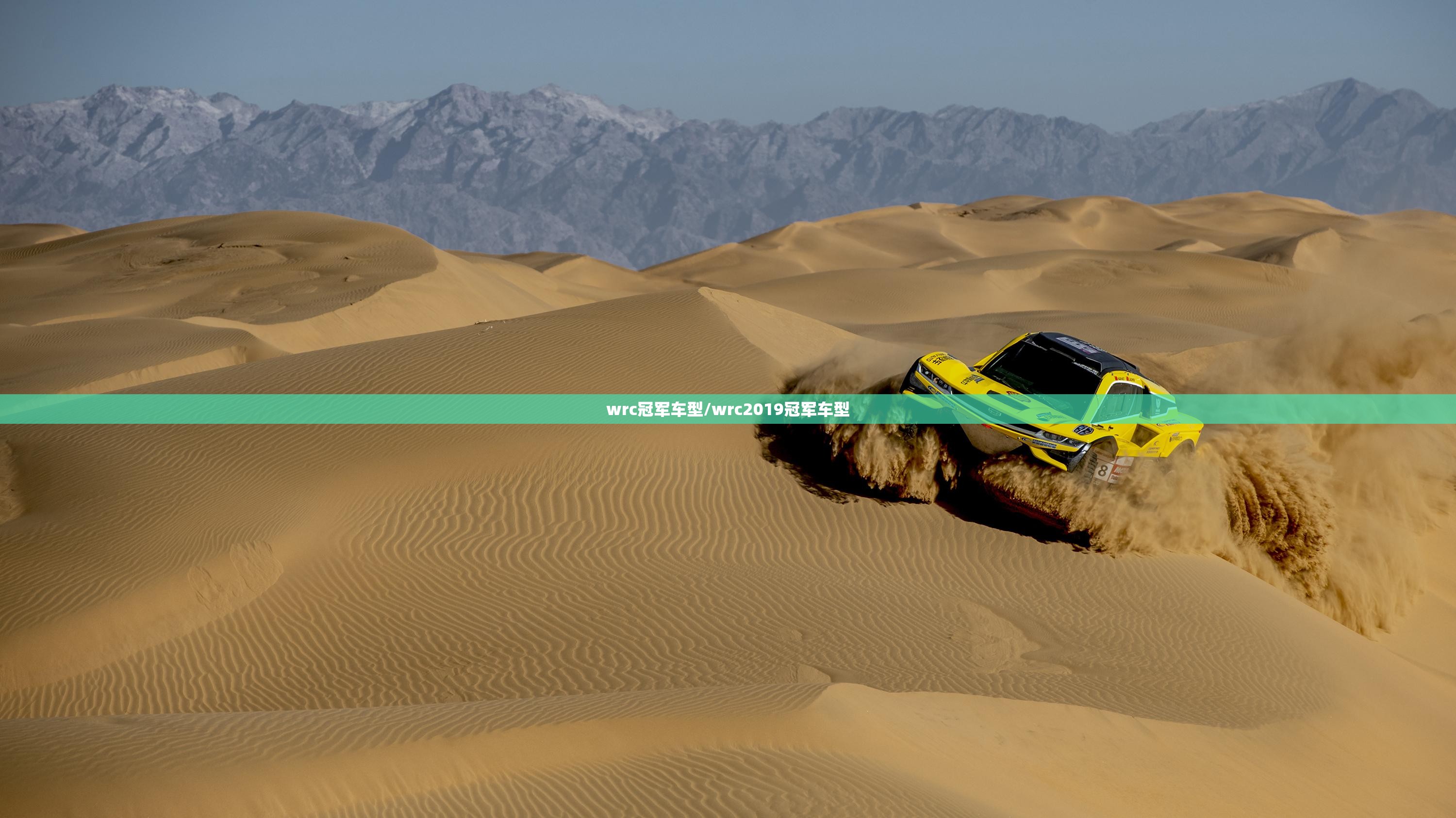 wrc冠军车型/wrc2019冠军车型