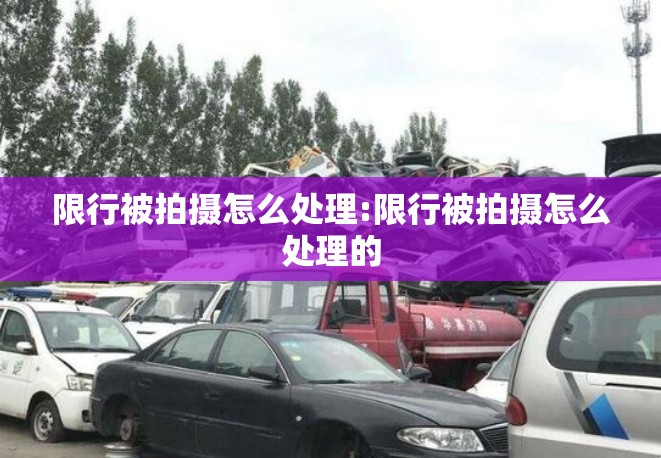 限行被拍摄怎么处理:限行被拍摄怎么处理的 限行被拍摄怎么处理:限行被拍摄怎么处理的