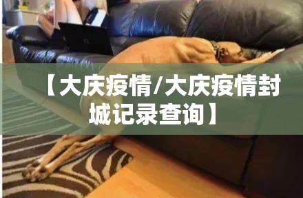 【大庆疫情/大庆疫情封城记录查询】