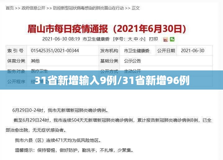 31省新增输入9例/31省新增96例 31省新增输入9例/31省新增96例