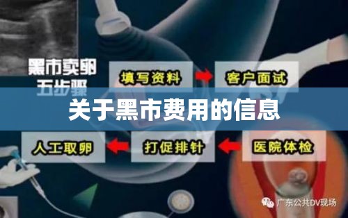 关于黑市费用的信息