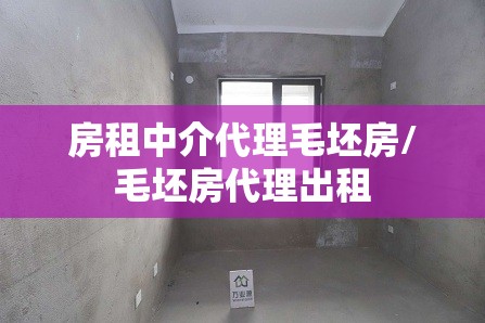 房租中介代理毛坯房/毛坯房代理出租 房租中介代理毛坯房/毛坯房代理出租