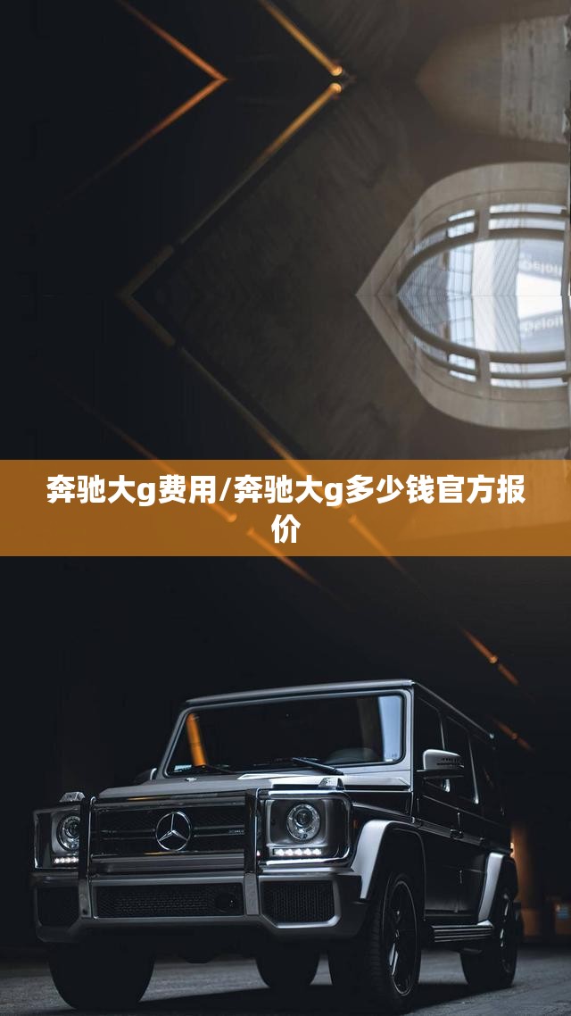 奔驰大g费用/奔驰大g多少钱官方报价 奔驰大g费用/奔驰大g多少钱官方报价