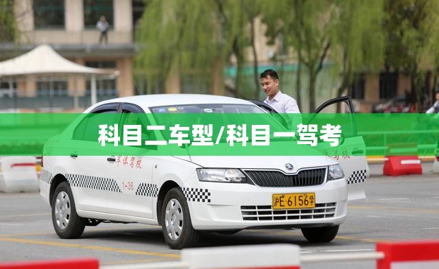 科目二车型/科目一驾考 科目二车型/科目一驾考