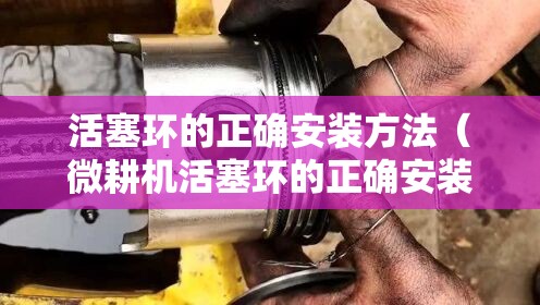 活塞环的正确安装方法(微耕机活塞环的正确安装方法) 活塞环的正确安装方法(微耕机活塞环的正确安装方法)