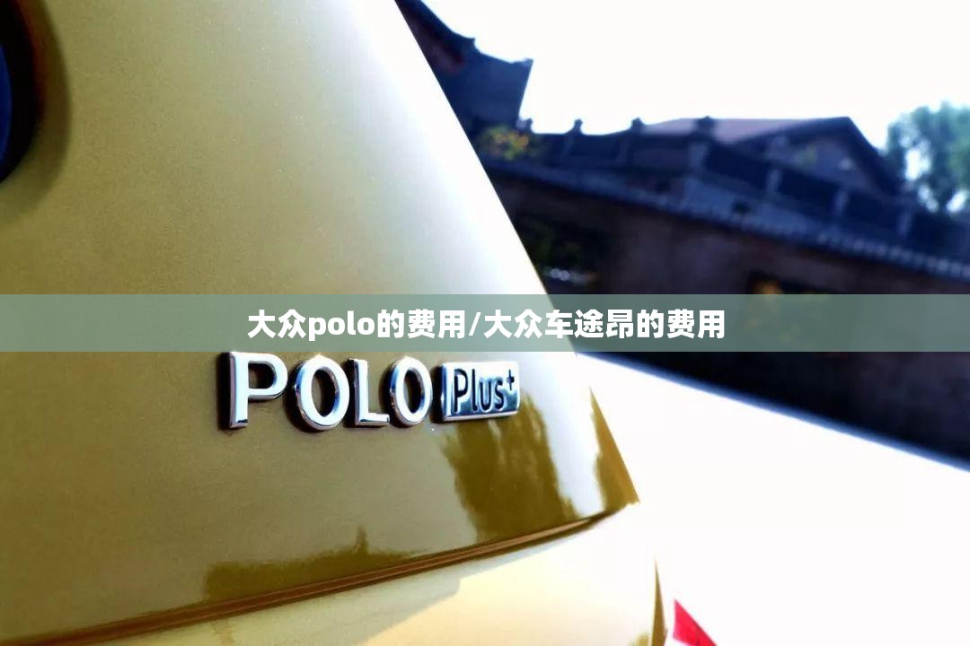 大众polo的费用/大众车途昂的费用 大众polo的费用/大众车途昂的费用