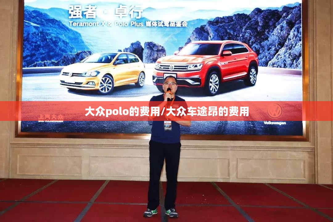 大众polo的费用/大众车途昂的费用 大众polo的费用/大众车途昂的费用