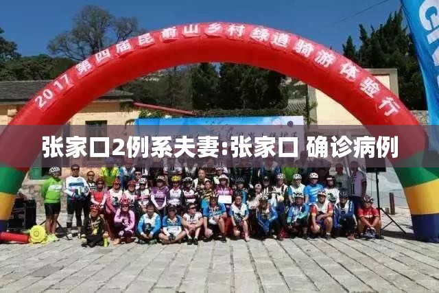 张家口2例系夫妻:张家口 确诊病例