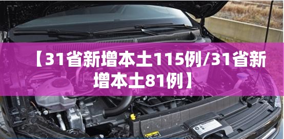 【31省新增本土115例/31省新增本土81例】