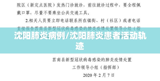 沈阳肺炎病例/沈阳肺炎患者活动轨迹 沈阳肺炎病例/沈阳肺炎患者活动轨迹