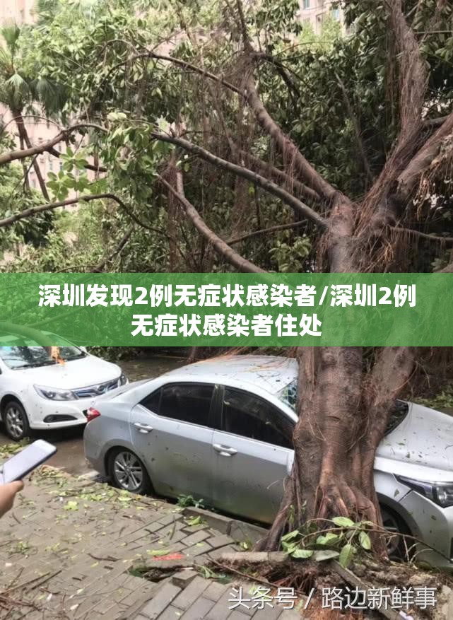 深圳发现2例无症状感染者/深圳2例无症状感染者住处 深圳发现2例无症状感染者/深圳2例无症状感染者住处