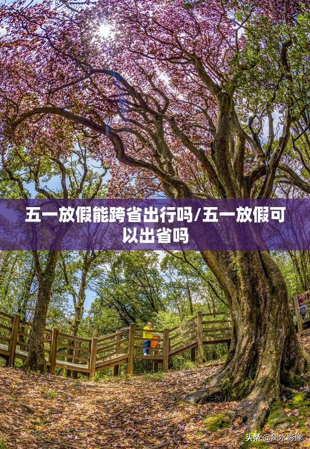 五一放假能跨省出行吗/五一放假可以出省吗 五一放假能跨省出行吗/五一放假可以出省吗