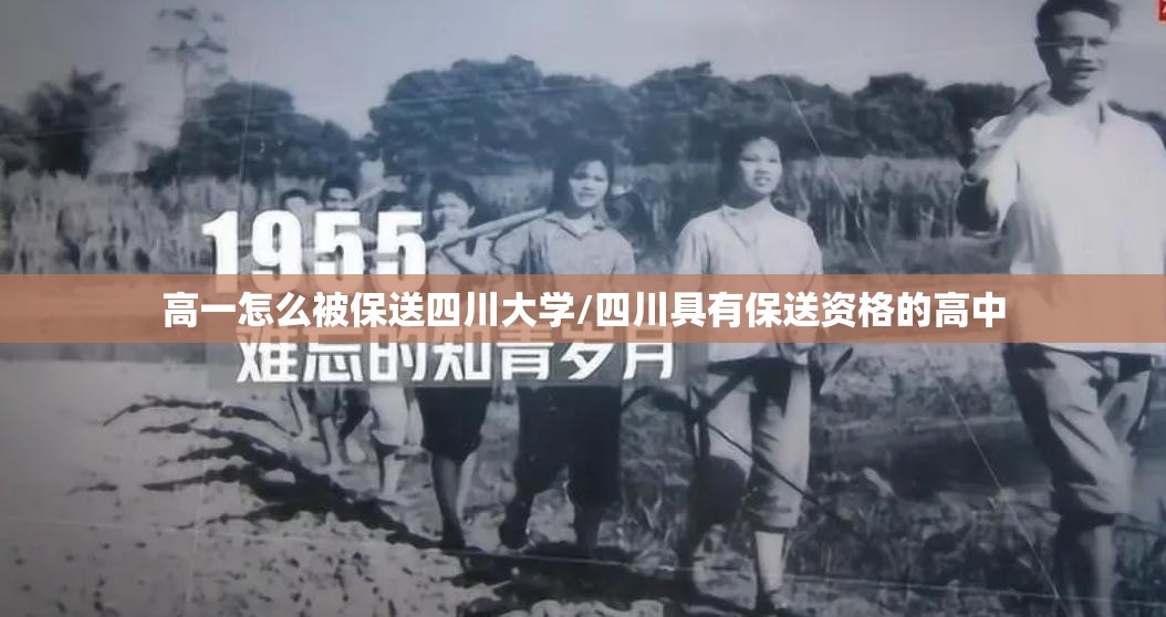 高一怎么被保送四川大学/四川具有保送资格的高中 高一怎么被保送四川大学/四川具有保送资格的高中