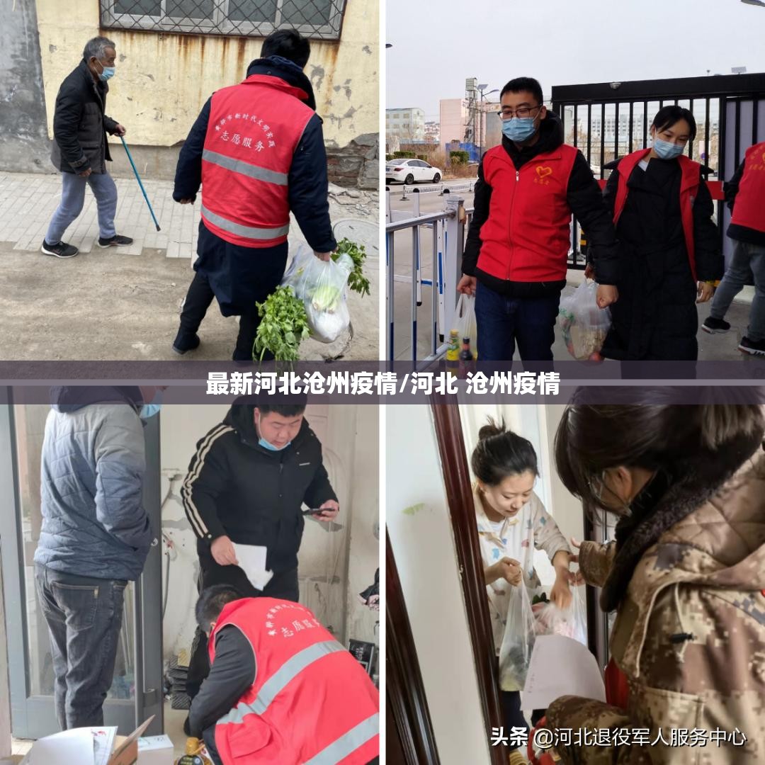 最新河北沧州疫情/河北 沧州疫情 最新河北沧州疫情/河北 沧州疫情