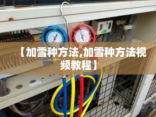 【加雪种方法,加雪种方法视频教程】 【加雪种方法,加雪种方法视频教程】