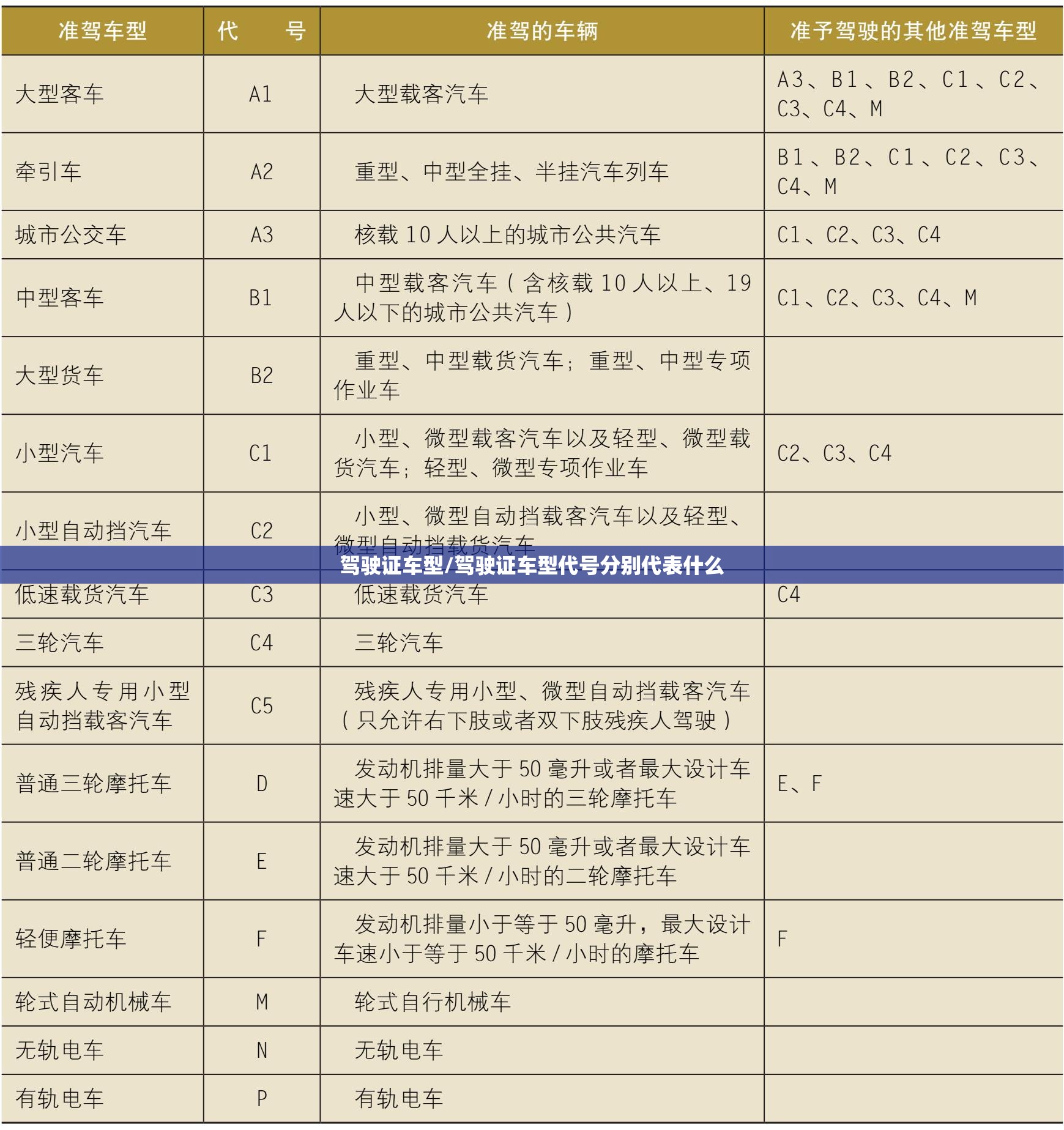 驾驶证车型/驾驶证车型代号分别代表什么 驾驶证车型/驾驶证车型代号分别代表什么
