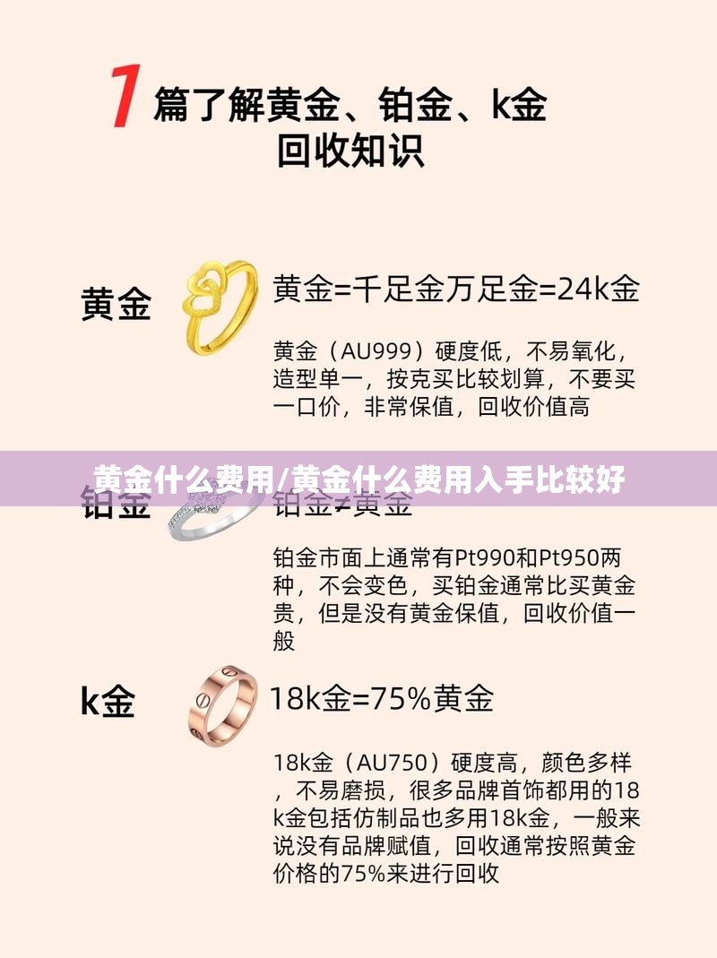 黄金什么费用/黄金什么费用入手比较好 黄金什么费用/黄金什么费用入手比较好