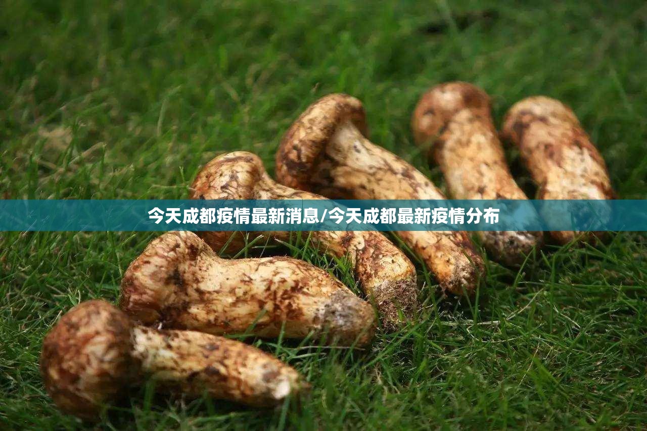 今天成都疫情最新消息/今天成都最新疫情分布 今天成都疫情最新消息/今天成都最新疫情分布