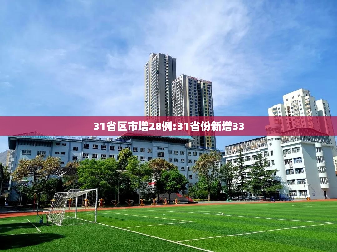 31省区市增28例:31省份新增33