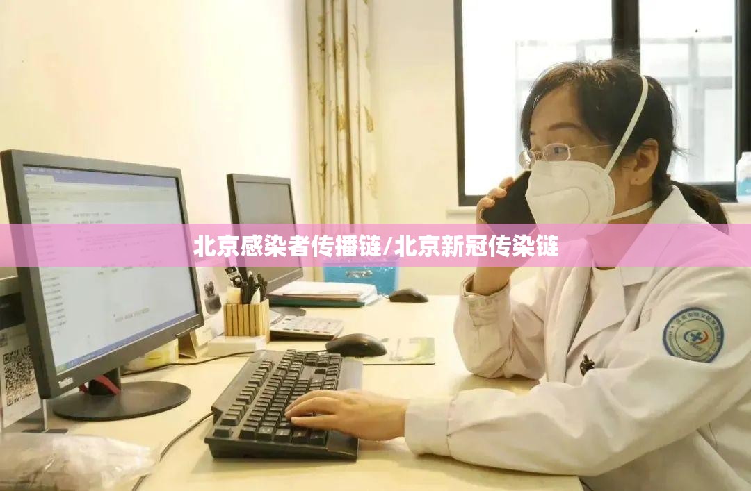 北京感染者传播链/北京新冠传染链