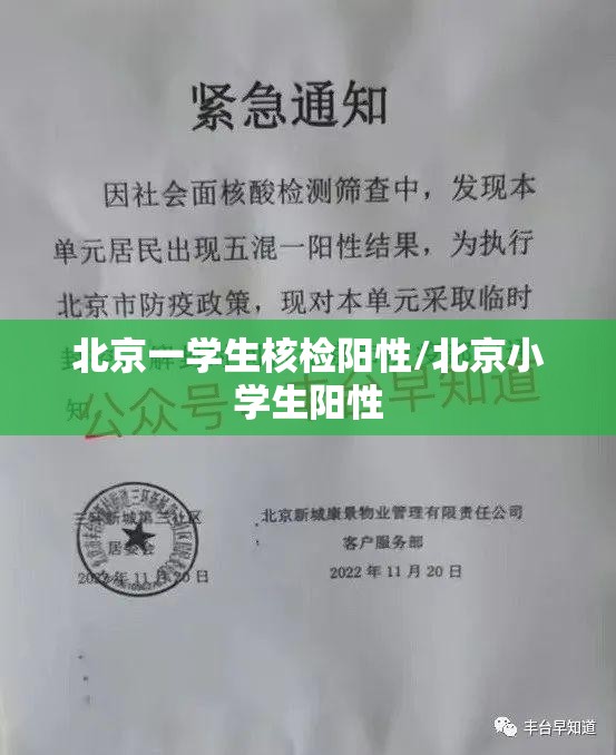 北京一学生核检阳性/北京小学生阳性 北京一学生核检阳性/北京小学生阳性