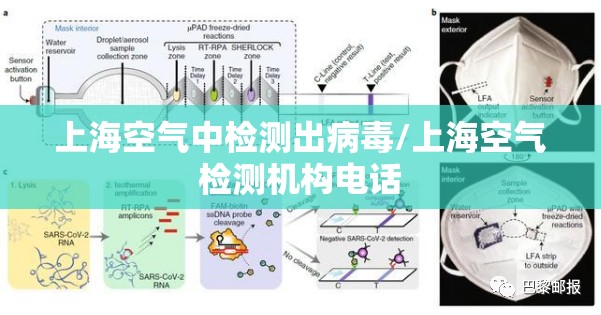 上海空气中检测出病毒/上海空气检测机构电话 上海空气中检测出病毒/上海空气检测机构电话
