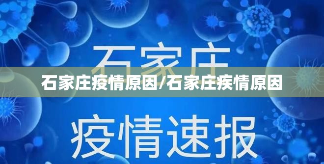 石家庄疫情原因/石家庄疾情原因 石家庄疫情原因/石家庄疾情原因