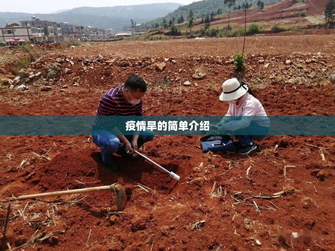 疫情旱的简单介绍 疫情旱的简单介绍