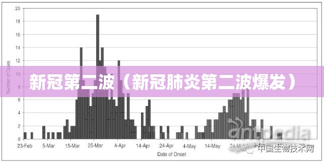 新冠第二波（新冠肺炎第二波爆发）