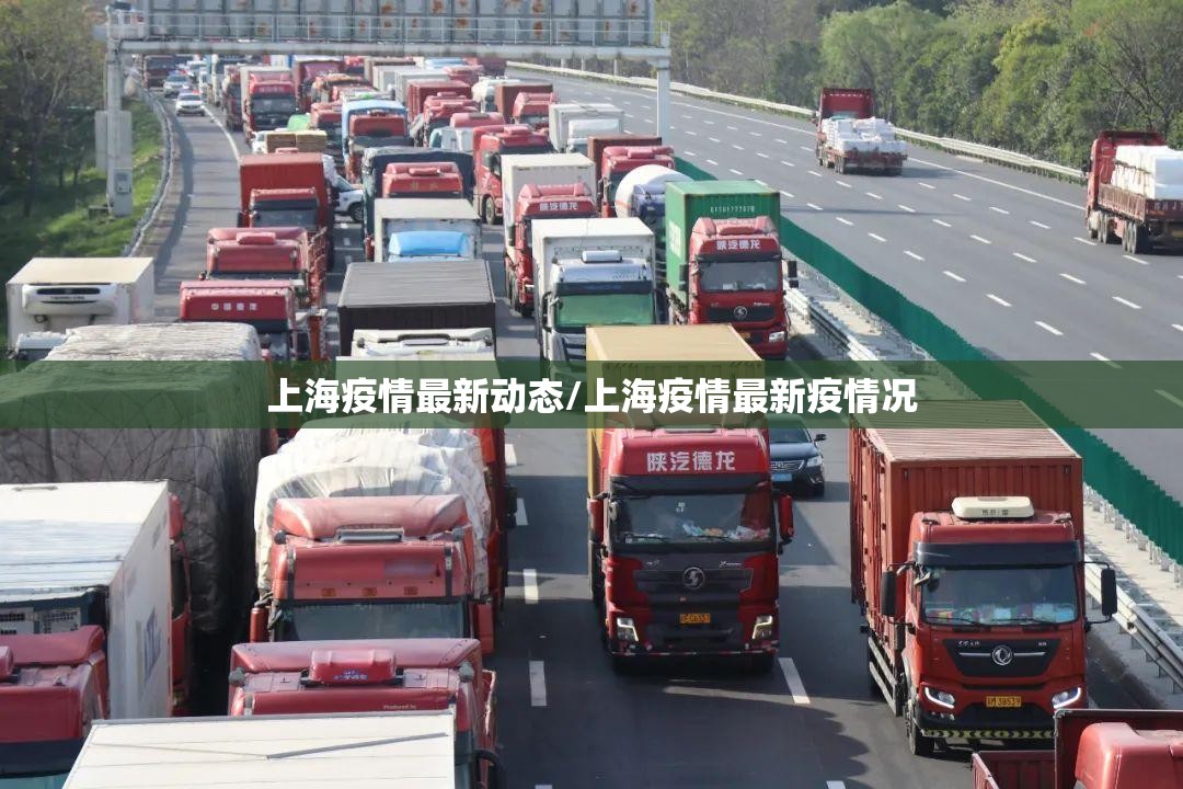 上海疫情最新动态/上海疫情最新疫情况 上海疫情最新动态/上海疫情最新疫情况