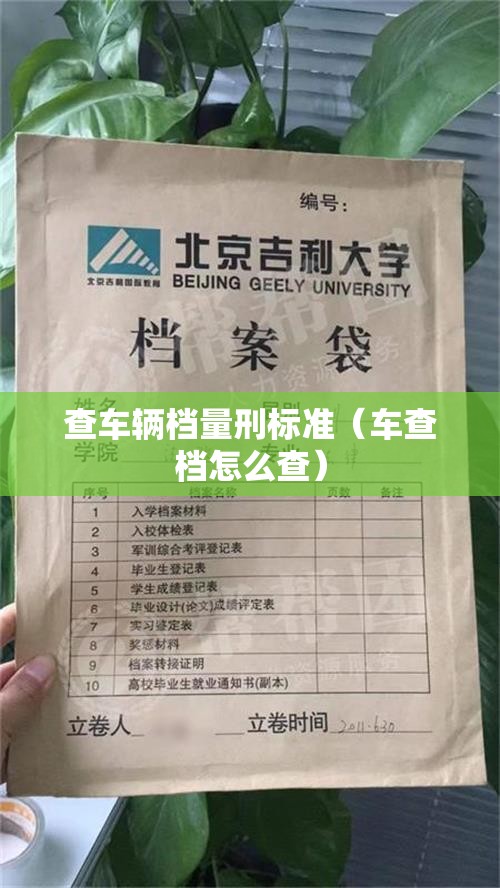 查车辆档量刑标准(车查档怎么查) 查车辆档量刑标准(车查档怎么查)