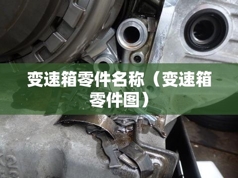 变速箱零件名称(变速箱零件图) 变速箱零件名称(变速箱零件图)