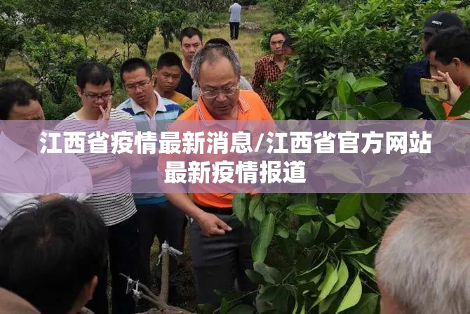 江西省疫情最新消息/江西省官方网站最新疫情报道 江西省疫情最新消息/江西省官方网站最新疫情报道