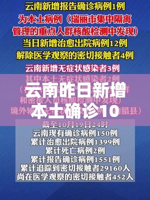 云南昨日新增本土确诊10例/云南昨日新增本土确诊病例9例