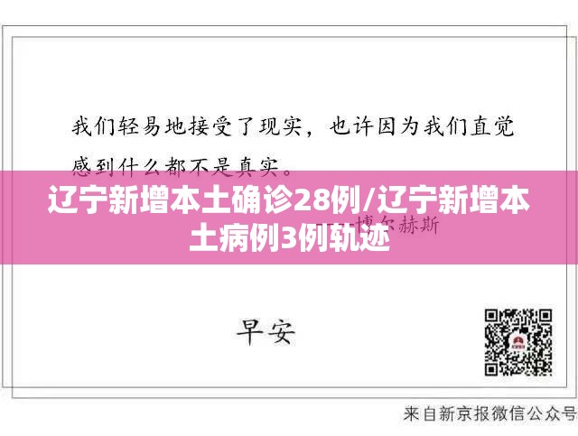 辽宁新增本土确诊28例/辽宁新增本土病例3例轨迹 辽宁新增本土确诊28例/辽宁新增本土病例3例轨迹