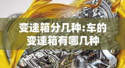 变速箱分几种:车的变速箱有哪几种