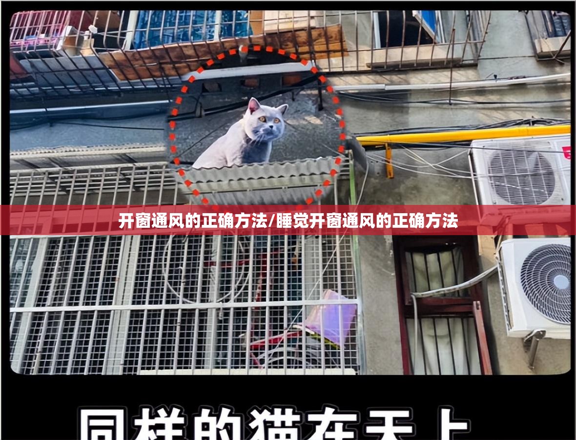 开窗通风的正确方法/睡觉开窗通风的正确方法