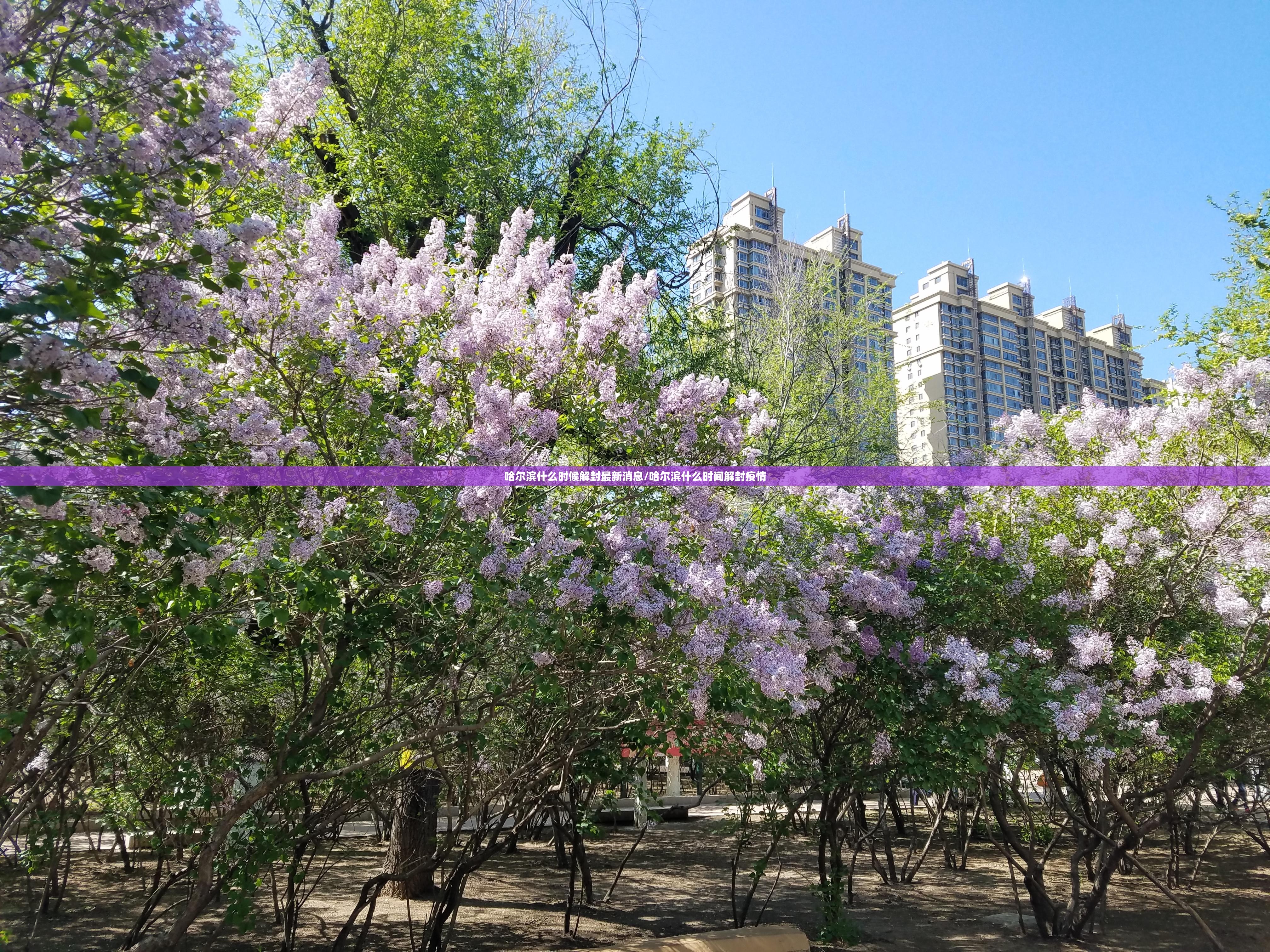 哈尔滨什么时候解封最新消息/哈尔滨什么时间解封疫情 哈尔滨什么时候解封最新消息/哈尔滨什么时间解封疫情