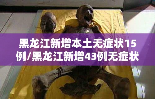 黑龙江新增本土无症状15例/黑龙江新增43例无症状31例 黑龙江新增本土无症状15例/黑龙江新增43例无症状31例