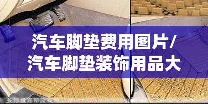 汽车脚垫费用图片/汽车脚垫装饰用品大全图片 汽车脚垫费用图片/汽车脚垫装饰用品大全图片