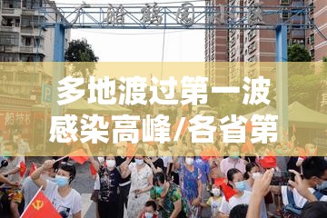 多地渡过第一波感染高峰/各省第一波感染高峰 多地渡过第一波感染高峰/各省第一波感染高峰