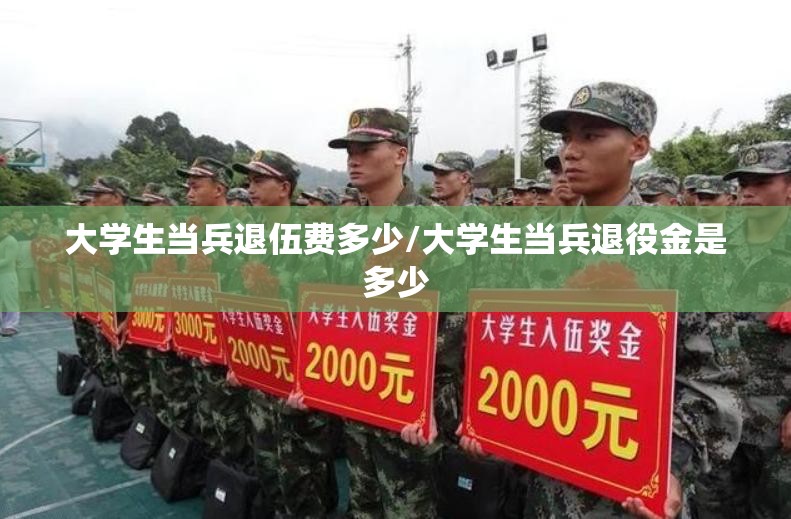 大学生当兵退伍费多少/大学生当兵退役金是多少 大学生当兵退伍费多少/大学生当兵退役金是多少