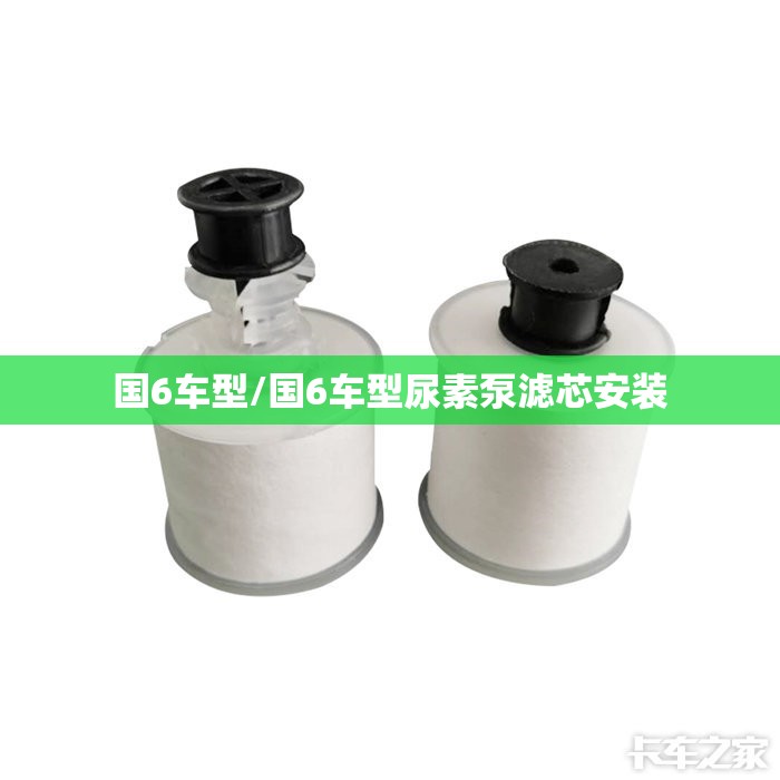 国6车型/国6车型尿素泵滤芯安装 国6车型/国6车型尿素泵滤芯安装