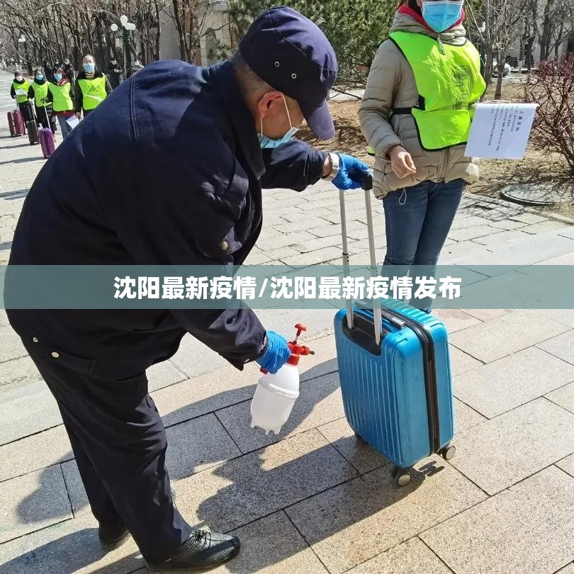 沈阳最新疫情/沈阳最新疫情发布 沈阳最新疫情/沈阳最新疫情发布