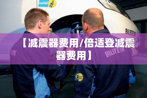 【减震器费用/倍适登减震器费用】 【减震器费用/倍适登减震器费用】