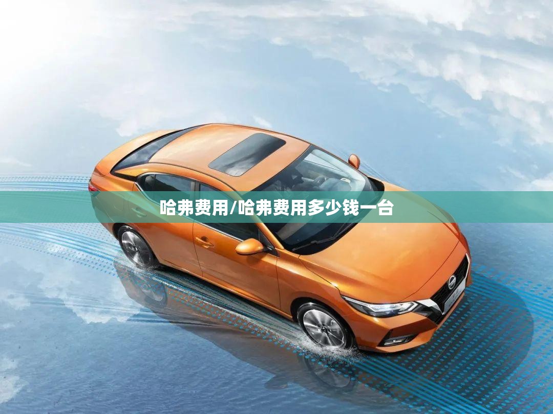 哈弗费用/哈弗费用多少钱一台 哈弗费用/哈弗费用多少钱一台
