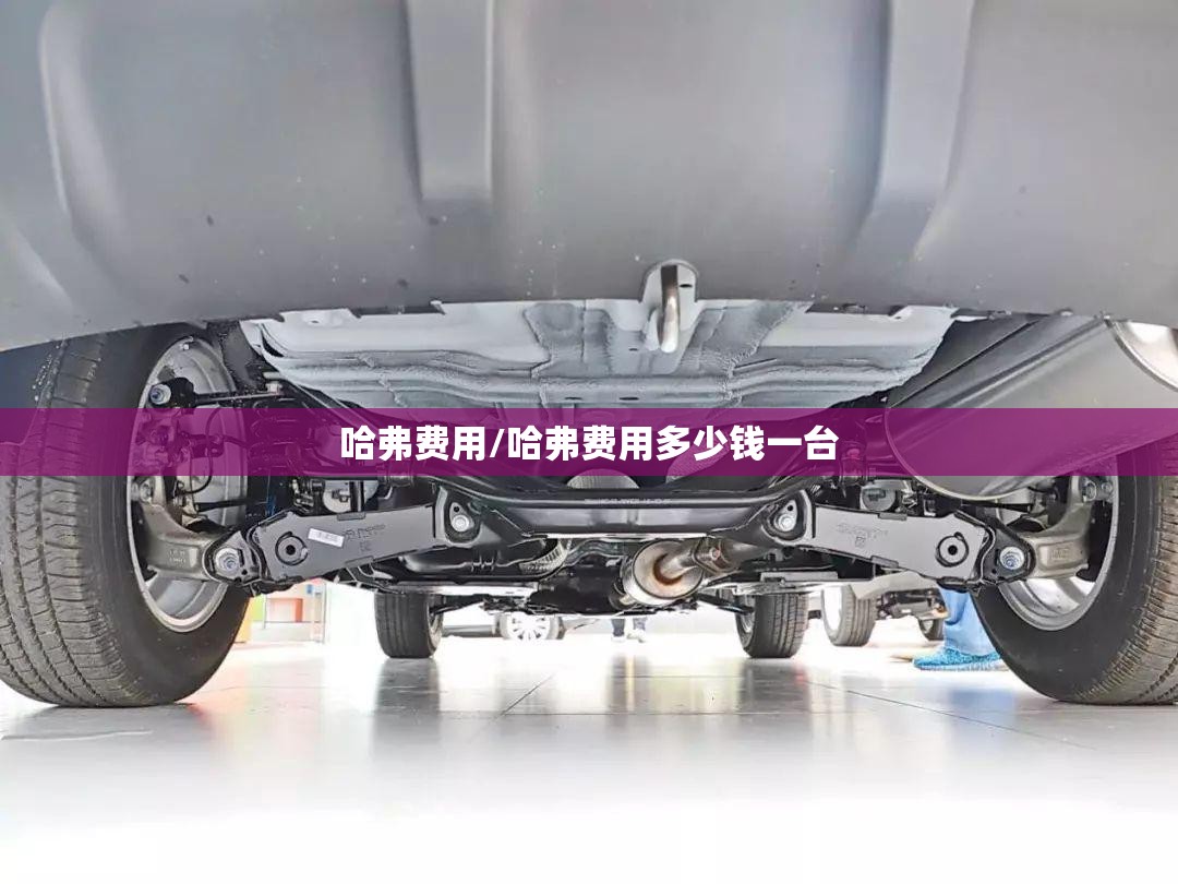 哈弗费用/哈弗费用多少钱一台 哈弗费用/哈弗费用多少钱一台