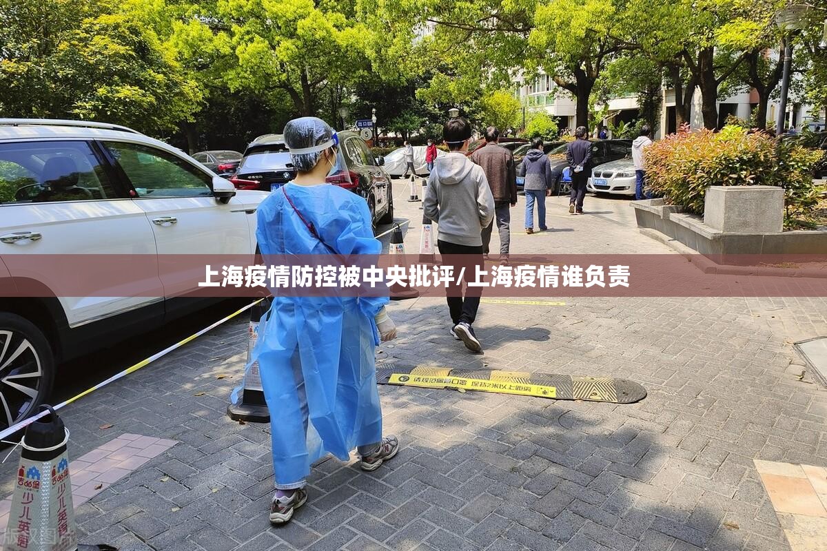 上海疫情防控被中央批评/上海疫情谁负责