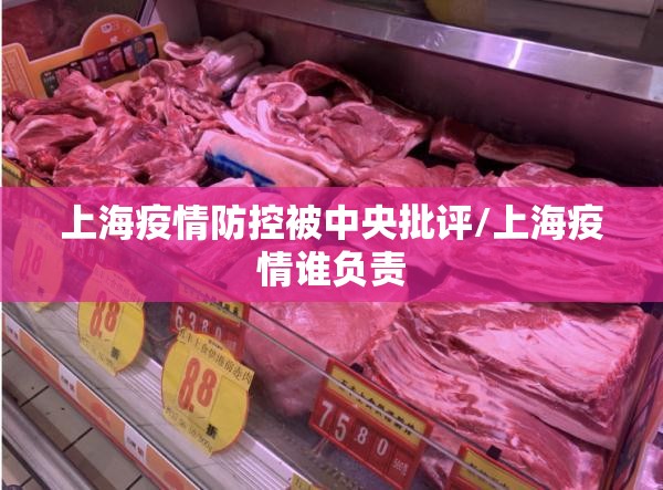 上海疫情防控被中央批评/上海疫情谁负责 上海疫情防控被中央批评/上海疫情谁负责
